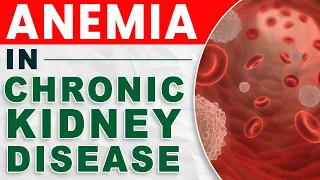 Anemia In Chronic Kidney Disease(Explained)