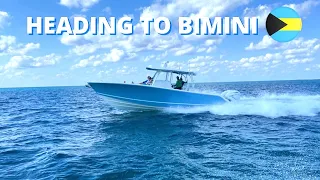 COBIA TO BIMINI