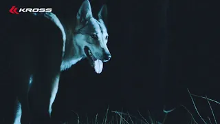 Kross Moon - dancing with wolves