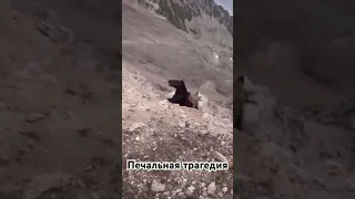 Упала лошадь в горах
