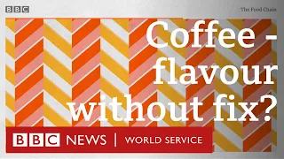 Decaf: Taking the buzz out of coffee - BBC World Service, The Food Chain