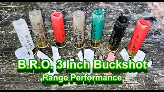 3 Inch Big Game Buckshot Rounds Range Tested!