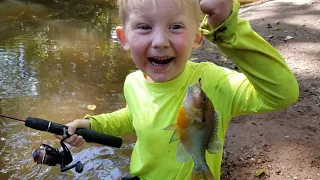 Fishing & Exploring Remote Tiny Creek with my Boys - Fishing for 5 Species