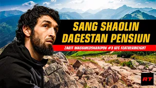 Zabit Magomedsharipov Pensiun?