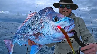 Snapper season is OPEN!