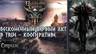 Baldur's Gate 3, кооп, детально изучаем первый акт