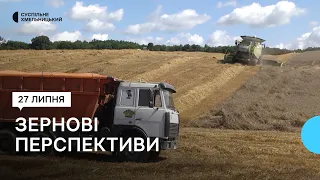 Хлібороби Хмельниччини відмовляються вирощувати пшеницю