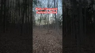 Bigfoot Sasquatch captured on film! #reels #shorts #bigfoot