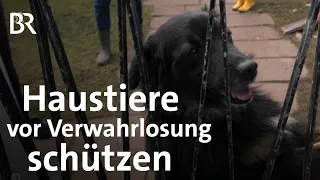 Wenn der Tierinspektor klingelt: Tierquälerei oder Falscher Alarm? | Schwaben & Altbayern | BR
