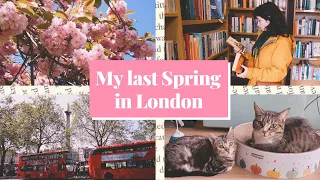 Books and blossom 🌸 Spend Spring with me in London & beyond | Spring (2023) Snapshots