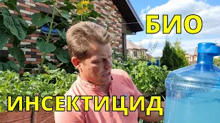 "хищный" гриб БОВЕРИЯ,  против хруща, колорадского жука и проволочника в одном флаконе