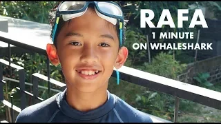 Rafa Madrid 1 minute report on Whale Shark