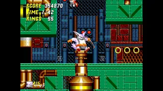 Sonic The Hedgehog 2 Pink Edition Metropolis Zone 3 (Big the Cat)(with Cream)