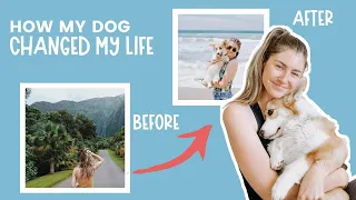 8 Ways Getting A Dog Changed My Life | How Will A Puppy Change My Life