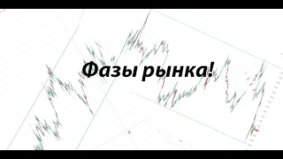 Trading|cryptocurrency scalping| Обучение трейдингу для новичков | скальпинг криптовалют| фазы рынка