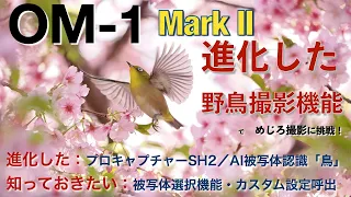 OM-1 Mark II 進化した野鳥撮影機能でめじろ撮影に挑戦！