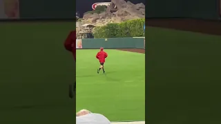 A look at the fan who threw an apparent blow up trash can on the field during the Astros Angels game