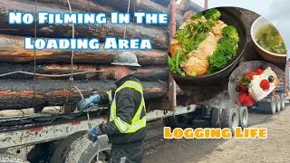 I Can No Longer Film In A Loading Area-Day In The Life Of A Log Trucker|Logging Trucks