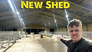Cattle Shed Update | Ready For Cows