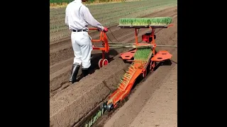 Japanese scallion planting #machine beauty #agricultural #shorts #shorts