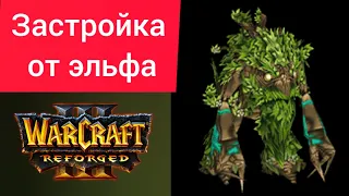 Застройка от эльфа‼️ 15sui (Ne) vs LabyRinth (Ud) Warcraft 3 Reforged