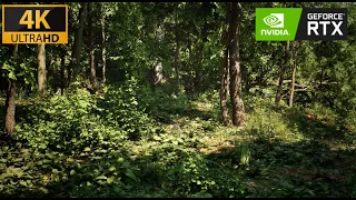 Unreal Engine 5.2  Showcase: Amazing Forests - A Visual Masterpiece of Next-Gen Graphics (4k 60fps)