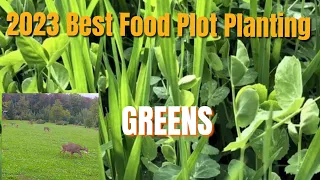 2023 Best Food Plot Planting: Part 3