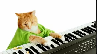 Wonderful Pistachios   Keyboard Cat