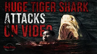 The MOST GUT WRENCHING Shark Attack Video Ever Captured. Shark Attacks Vladimir Popov Off Hurghada