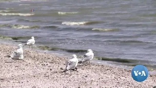 Saving California’s Salton Sea: No Easy Answers