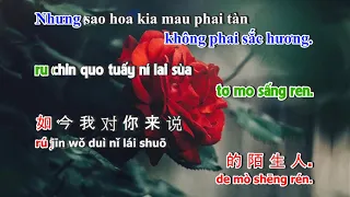 HOA VIỆT KARA | Karaoke Nụ Hồng Mong Manh Tone Nữ - Karaoke Nhạc Hoa Lời Việt Song Ngữ