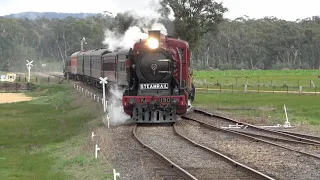 4K Double Headed Steam Engines - Victorian Goldfields Railway