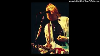 Nirvana - Live In Miami [11/27/1993] (Full Concert In D Tuning)