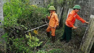 We revived a house buried for nearly 50 years, clearing and trimming overgrown trees and grass.