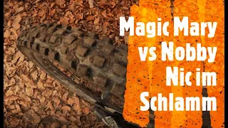 Reifentest Schwalbe Magic Mary vs neuem Nobby Nic im Schlamm MTB