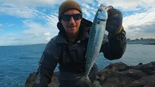 CASTING METAL LURES FOR MACKEREL | MACKEREL FISHING UK