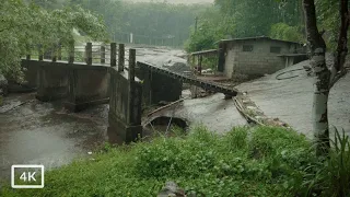 Walking to an amazing South Indian village on the river bank | Rainy day walk in Kerala | ASMR Rain