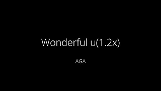 AGA-Wonderful u（1.2x加速/sped up）