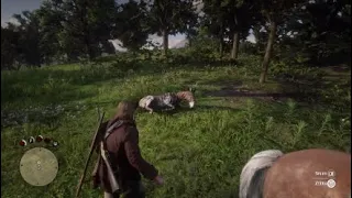 Red Dead Redemption 2 How To Catch A Zebra!!!!