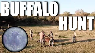 We Hunted a Buffalo Cow in South Africa with Bronze Croc Safaris