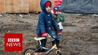 Who should take in refugees? BBC News