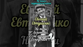 Евгений Евтушенко, не надо бояться, сильный стих, #shorts