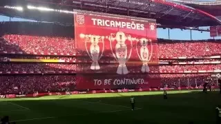 BENFICA TRICAMPEÃO 2015/2016