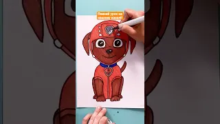 Як намалювати цуценя Зуму Zuma Paw Patrol? Дивися детально на нашому каналі! #howtodraw #pawpatrol