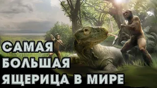 САМАЯ БОЛЬШАЯ ЯЩЕРИЦА В МИРЕ. КАКОЙ ОНА БЫЛА?