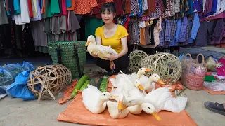 Full Video: 40 Days Harvest Chicken, Ducks, Vegetable, Fruit, Honey Beehive Goes To The Market Sell