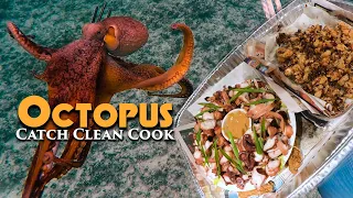 Octopus Catch and Cook - Miso Peanut Butter & PopCorn -  Spearfishing Hawaii