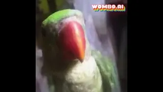 Funny video|| Parrot dancing on despacito song 🤣🤣