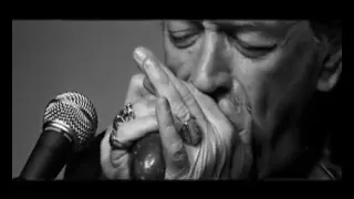 Charlie Musselwhite w/ Richard Bargel