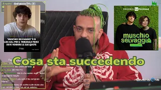 MR MARRA CHIARISCE al CERBERO PODCAST la SITUAZIONE a MUSCHIO SELVAGGIO con LUIS SAL